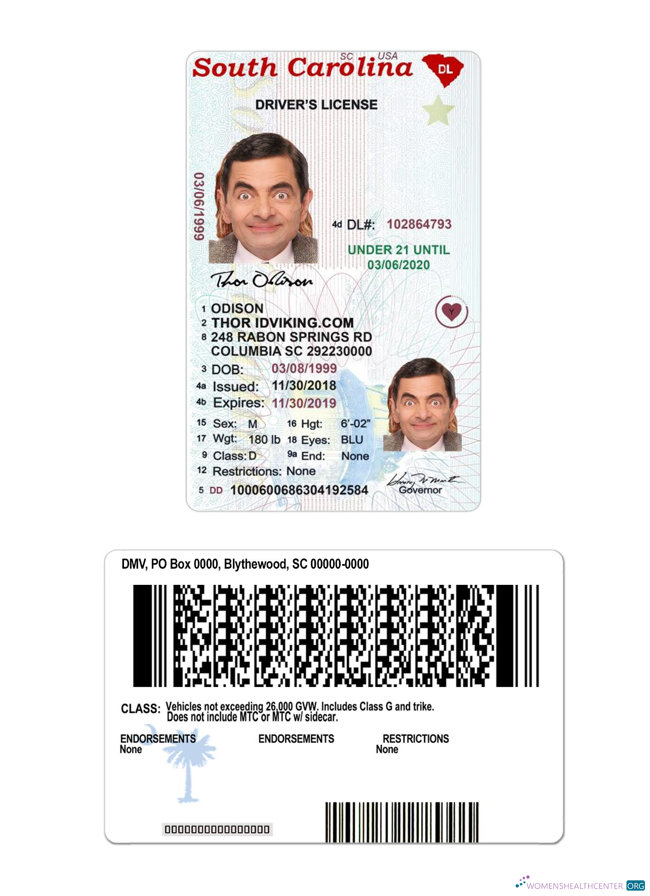 download USA South Carolina under 21 driving license